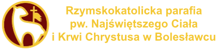 logotypbc-zolty